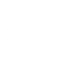 paver