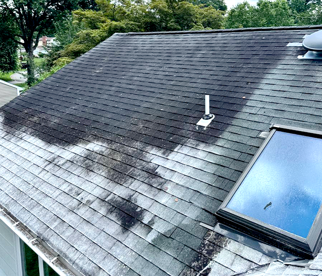 roof-cleaning