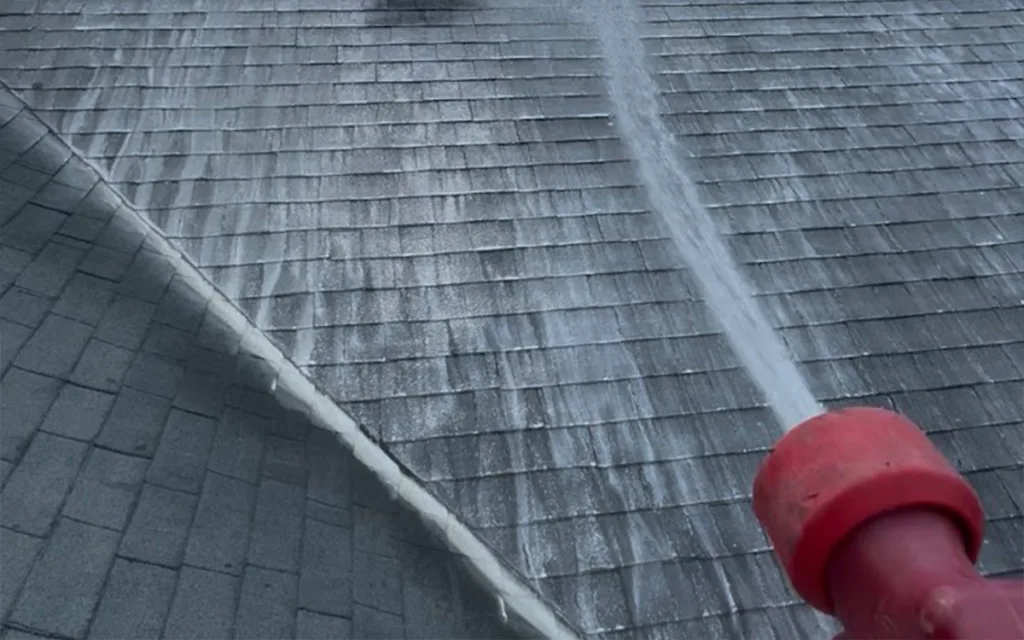 roof cleaning33